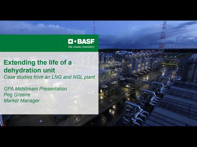 Increased Dehydration Bed life NGL and LNG Gas Plant Case Studies