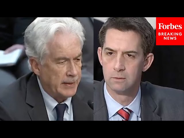 'Is Israel Exterminating The Palestinian People?': Tom Cotton Grills Top Biden Admin. Officials
