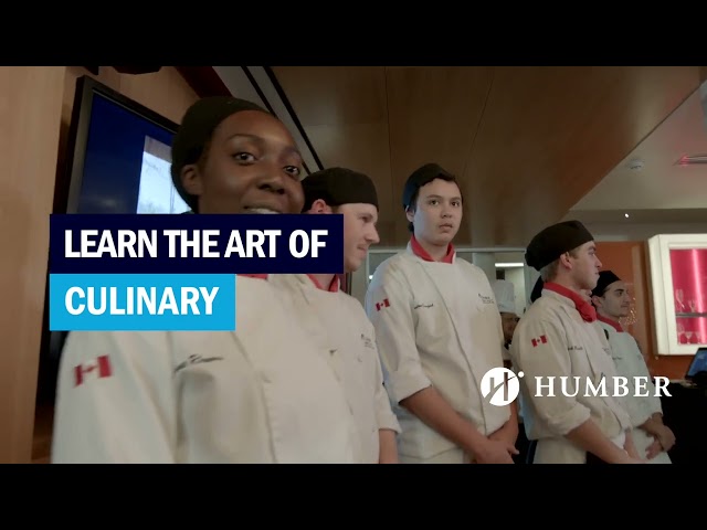 Learn The Art of Culinary
