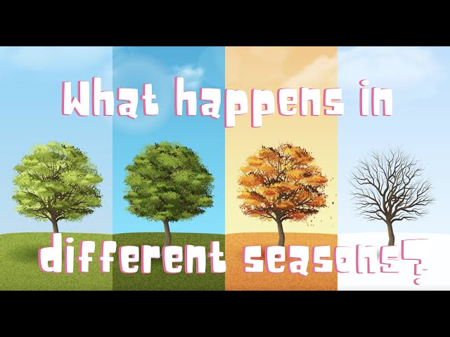 What happens in different seasons?