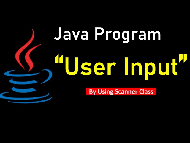 How to take input from user in Java | Learn Coding