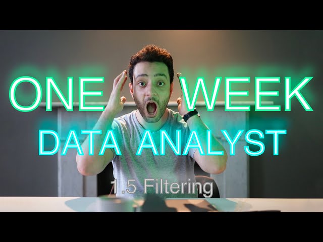 Become a Data Analyst In ONE WEEK (1.5 Excel Basics | Filtering)