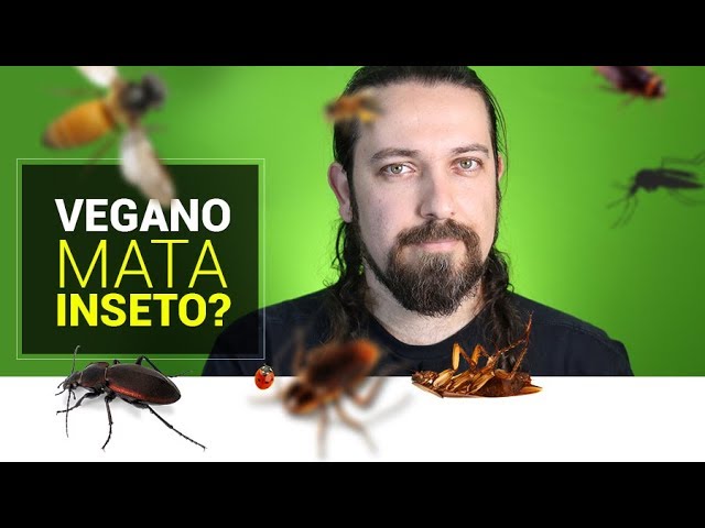 "Vegan kills insect?" Answer.