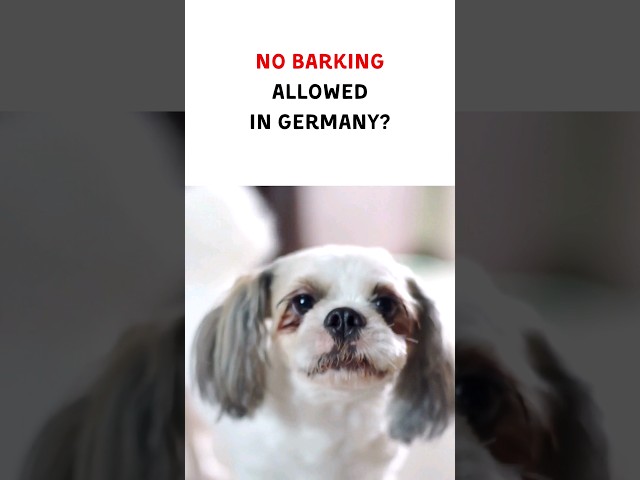 When Can Dogs Bark in Germany? Explained