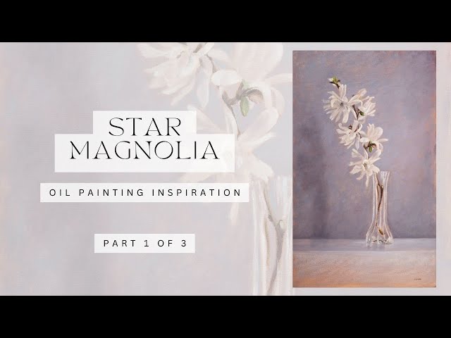 Star Magnolia oil painting inspiration part 1   relaxing   no narration