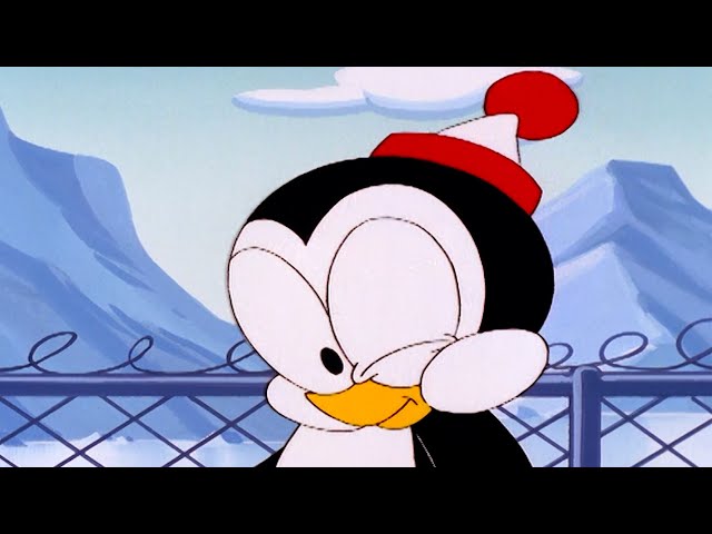 Chilly the Spy Penguin! | Woody Woodpecker