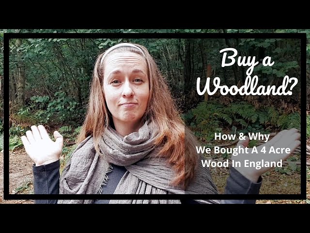 How Did We Buy A Woodland? And Why We Own Our Wood.