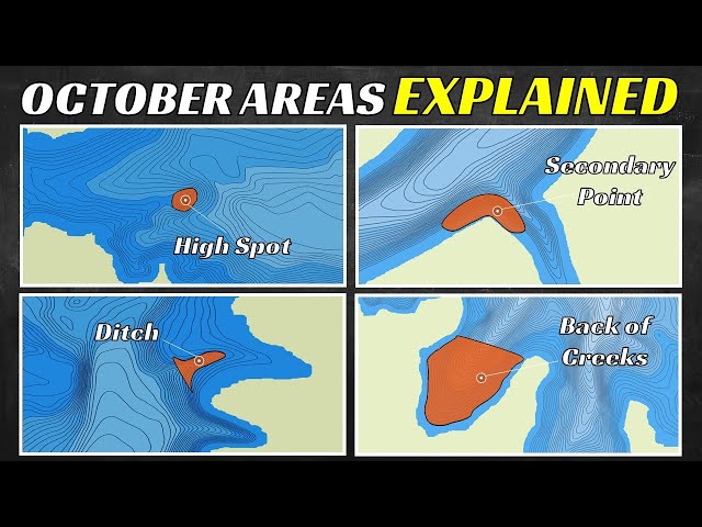 These Areas Produce Big Bass In October!