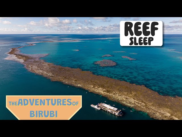 We sleep on a tent on the Great Barrier Reef!