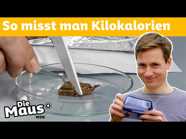 Was sind Kalorien? | DieMaus | WDR