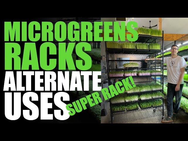 Other Uses For Your Microgreen Rack (Super Rack + Germination Rack)