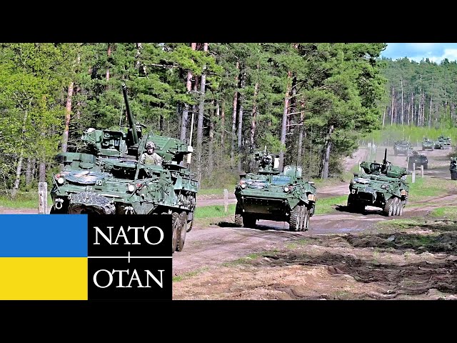Dozens of US Stryker Vehicles Together Thousands of NATO Troops Entered the Ukraine Forest [4K]