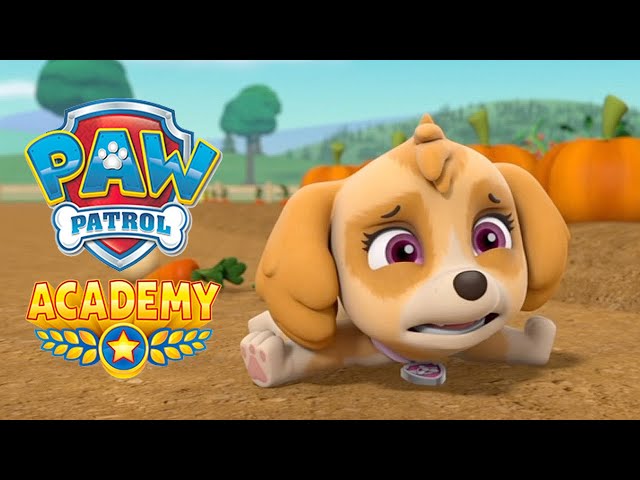 PAW Patrol Academy - ABC Dictionary A-Z (iOS, Android) New 2023 Mobile PAW Patrol Game 1