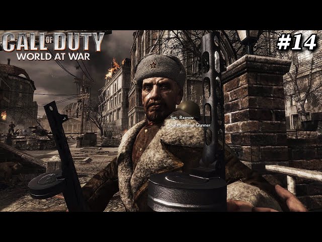 'Heart Of The Reich' | Call Of Duty World At War PART 14