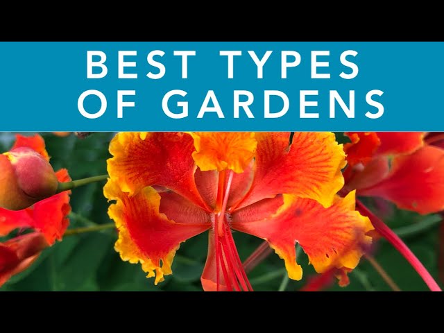 BEST TYPES OF GARDENS | Gardening in Florida