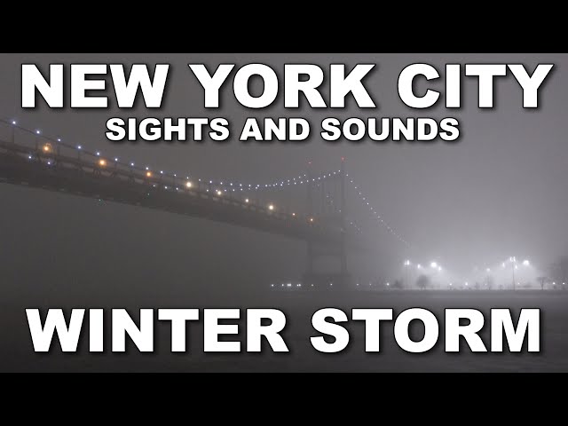 New York City Snowstorm (Blizzard Conditions) - Sights and Sounds 4K