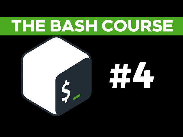 The Bash Course: How to write your first shell script! Lecture #4