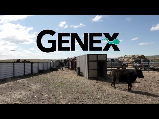 American Rancher Genex Promo