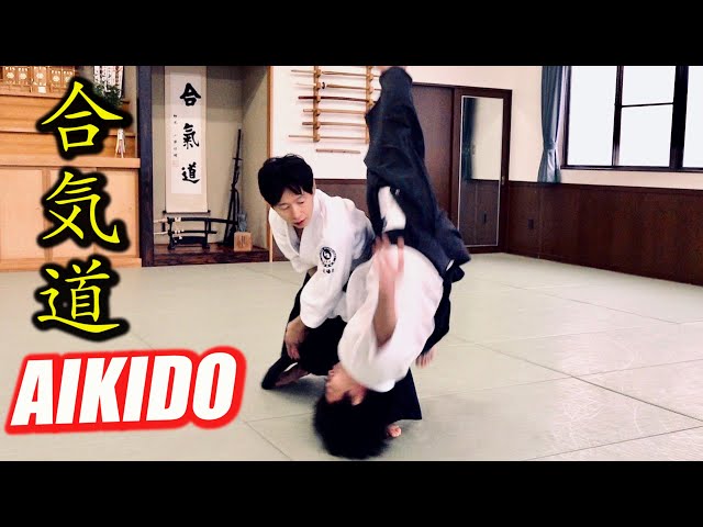Secret of Dynamic Aikido【Shirakawa Ryuji】