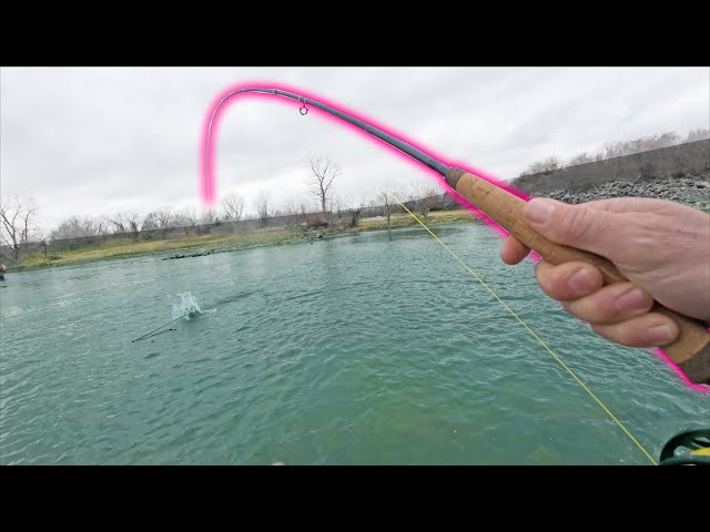 Huge Fish on Light Line! | Wade Fishing a Creek Below Dam