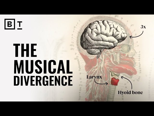 How humans evolved music | Michael Spitzer