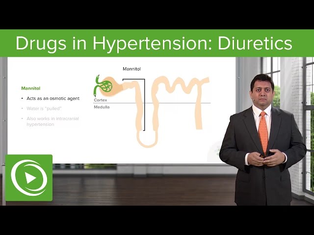 Drugs in Hypertension: Diuretics – Cardiovascular Pharmacology | Lecturio