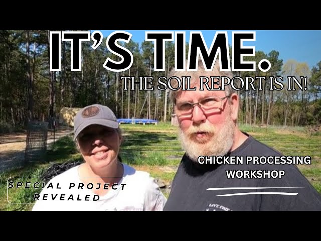 EXCITING DAY'S HOMESTEADING! Soil Report, Gardening, Planting, Chicken Workshop, Laser Engraving,
