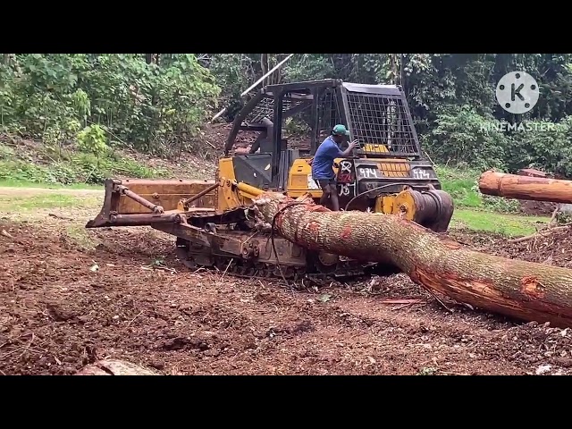 bulldozer pulling logs Komatsu 68ess#bulldozer