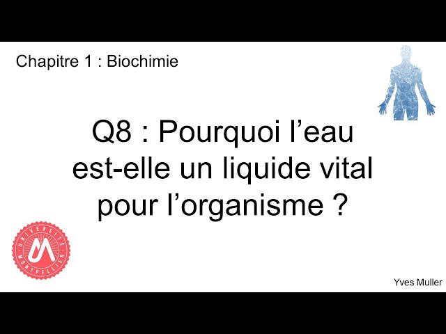 Chapitre 1 : Biochimie - Q8 : Pourquoi l'eau est-elle un liquide vital pour l'organisme ?