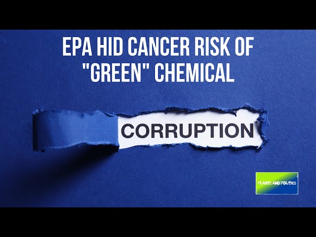 EPA Hid Cancer Risk Of "Green" Chemical