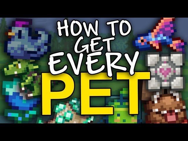 How to get EVERY pet in Terraria (1.4.4)