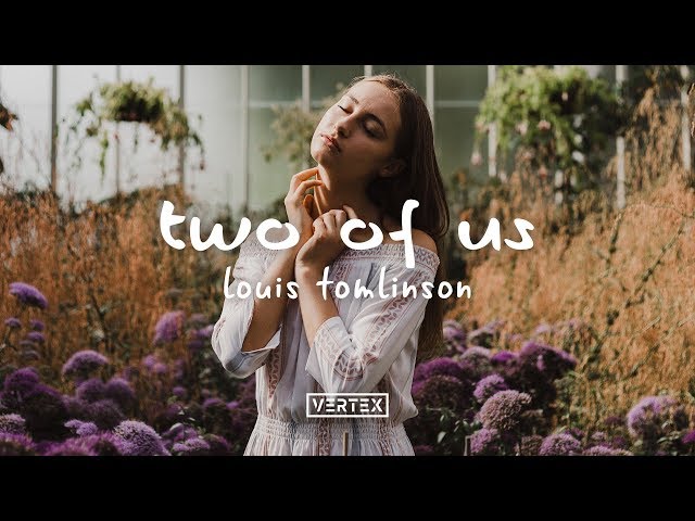 Louis Tomlinson - Two Of Us (Lyrics)