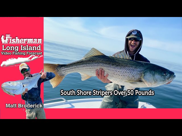 May 30th 2024 Long Island Metro Fishing Report with Matthew Broderick