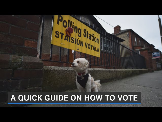 How to vote in the Local, European and Limerick Mayoral Elections