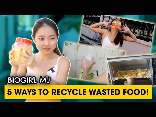 How to recycle food waste | Biogirl MJ