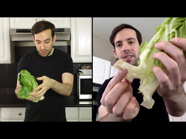 Does Violently Smashing Lettuce Make Your Salad Better?