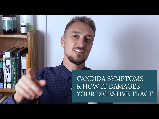 Candida Infection Symptoms & How It Damages Your Digestive Tract