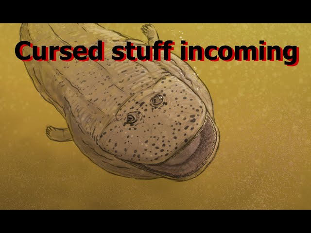 #Paleostream clips from (largely) 2020