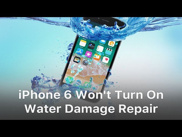 iPhone 6 Won't Turn On - Water Damage Repair