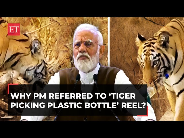 Creators Award: PM Modi refers to ‘Tiger picking plastic bottle’ reel to highlight cleanliness issue