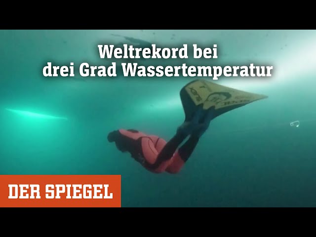 Weltrekord mit Monoflosse: Diese Frau taucht 140 Meter unter Eis, ohne Luft zu holen