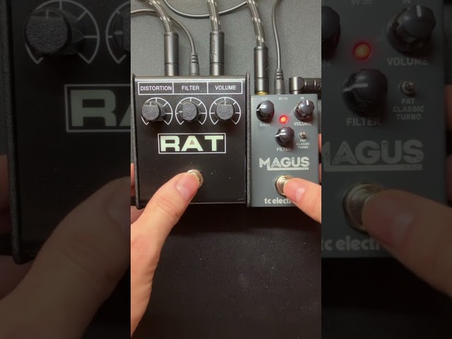 RAT2 vs TC Electronic MAGUS Pro. Rhythm guitar Marshall 1987x
