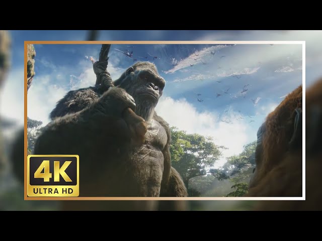 Kong 2024 Scene Pack | Godzilla X Kong The New Empire 4K Clips