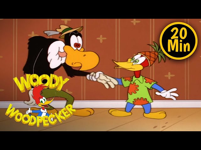 Woody Woodpecker | Fake Vacations | 3 Full Episodes