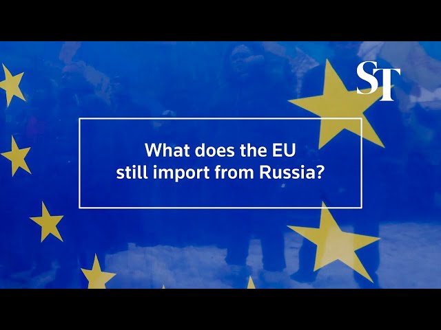 What trade does the EU still do with Russia?