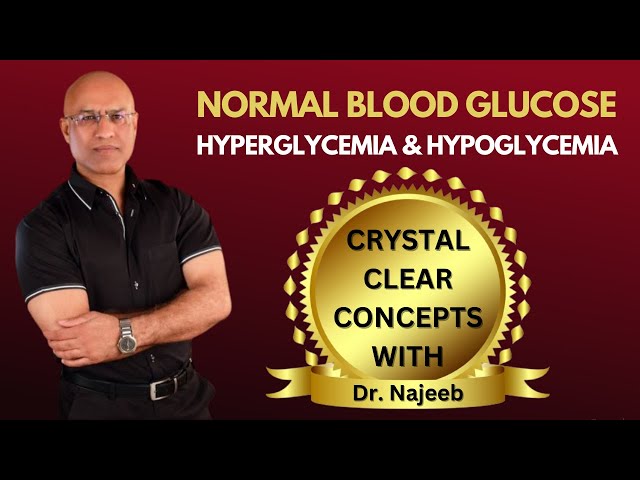 Normal Blood Glucose | Hyperglycemia | Hypoglycemia | Diabetes Mellitus🧑🏻‍⚕️