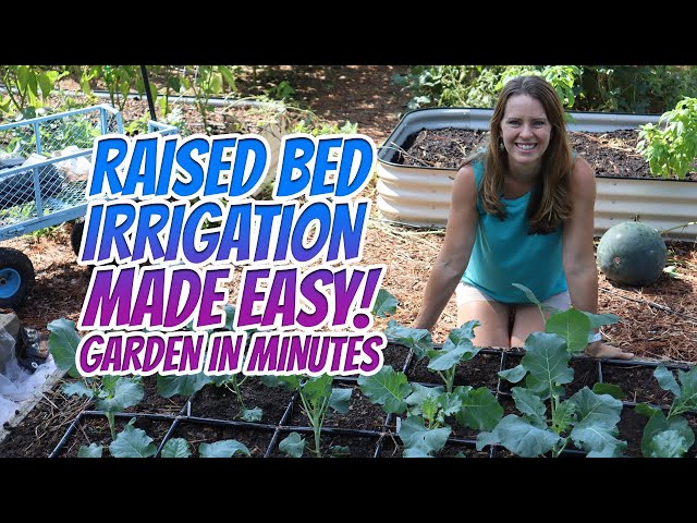 Quick and Easy Raised Bed Irrigation System - Garden In Minutes