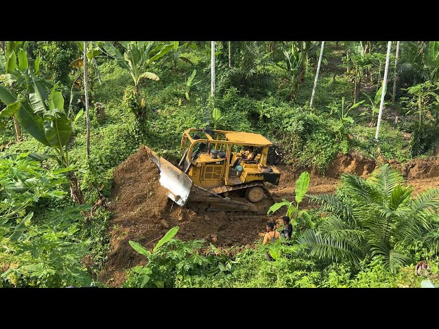 Suddenly! Full Powered CAT D6R XL Bulldozer Leveling Cliff Mountain Access Road