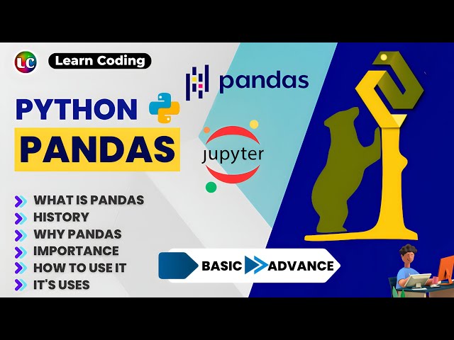 Python Pandas Tutorial | Learn Coding
