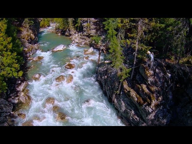 Epic Backcountry Fly Fishing Adventure | Catching Cutthroat & Rainbow Trout